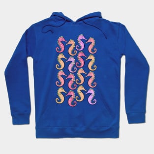 Cute And Colorful Seahorses Hoodie